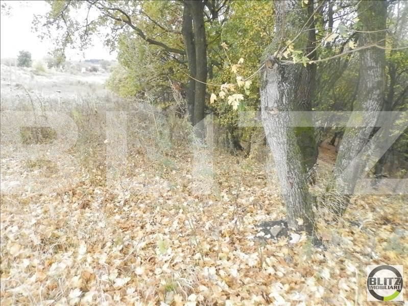 Teren de vânzare Făget - 23023TV | BLITZ Cluj-Napoca | Poza8
