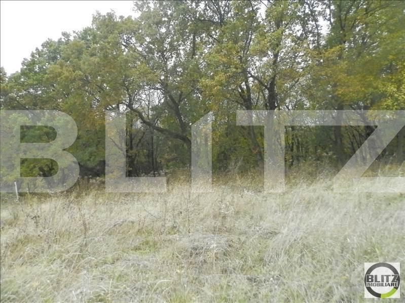 Teren de vânzare Făget - 23023TV | BLITZ Cluj-Napoca | Poza4