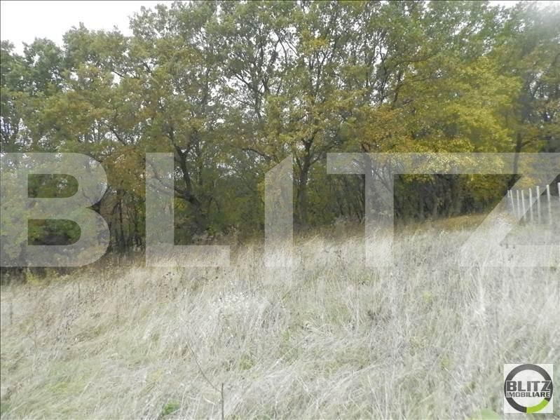 Teren de vânzare Făget - 23023TV | BLITZ Cluj-Napoca | Poza5