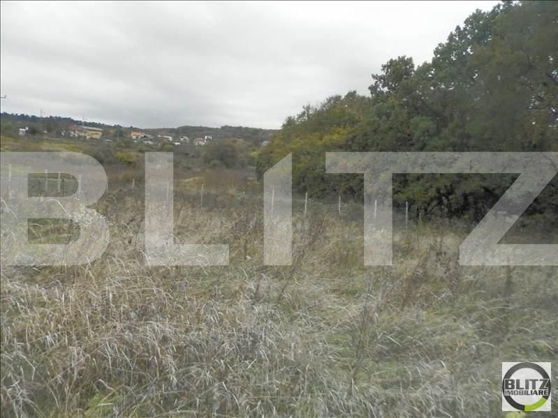 Teren de vânzare Făget - 23023TV | BLITZ Cluj-Napoca | Poza3