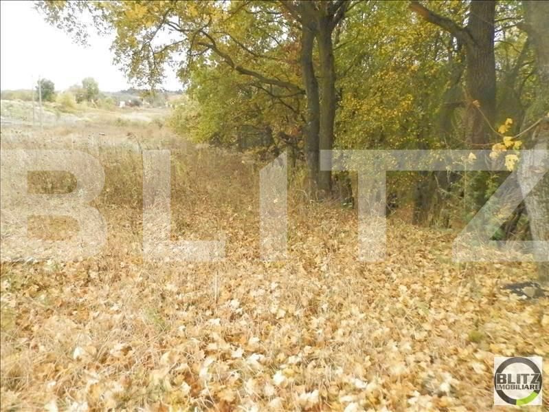 Teren de vânzare Făget - 23023TV | BLITZ Cluj-Napoca | Poza7