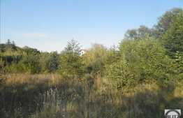 Teren de vanzare, 12400mp, front 150 ml, toate utilitatile, parcelabil, Faget!