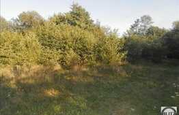 Teren de vanzare, 12400mp, front 150 ml, toate utilitatile, parcelabil, Faget!