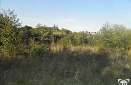 Teren de vanzare, 12400mp, front 150 ml, toate utilitatile, parcelabil, Faget!