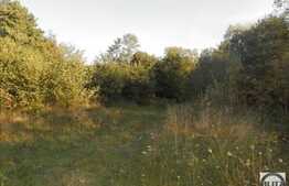 Teren de vanzare, 12400mp, front 150 ml, toate utilitatile, parcelabil, Faget!