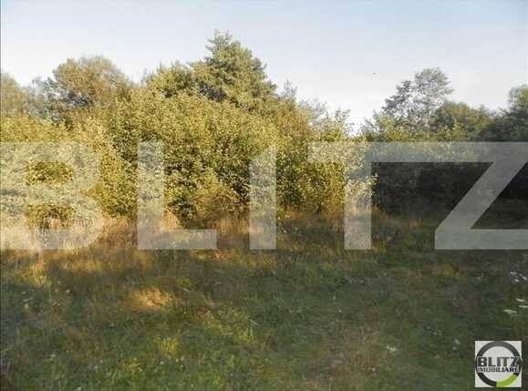 Teren de vânzare Făget - 23024TV | BLITZ Cluj-Napoca | Poza2