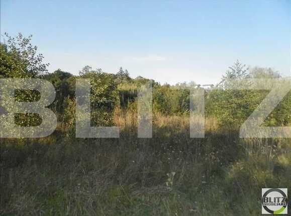 Teren de vânzare Făget - 23024TV | BLITZ Cluj-Napoca | Poza1