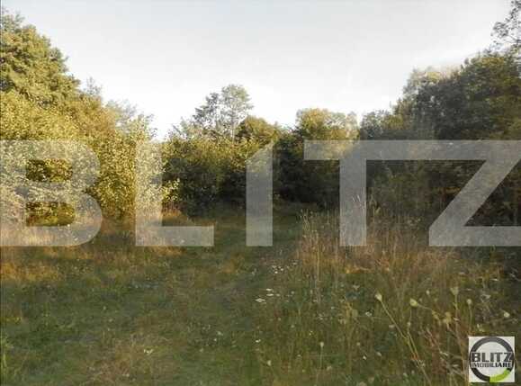 Teren de vânzare Făget - 23024TV | BLITZ Cluj-Napoca | Poza3