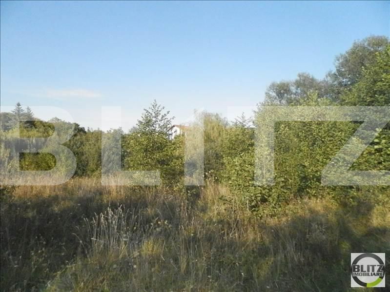 Teren de vânzare Făget - 23024TV | BLITZ Cluj-Napoca | Poza6