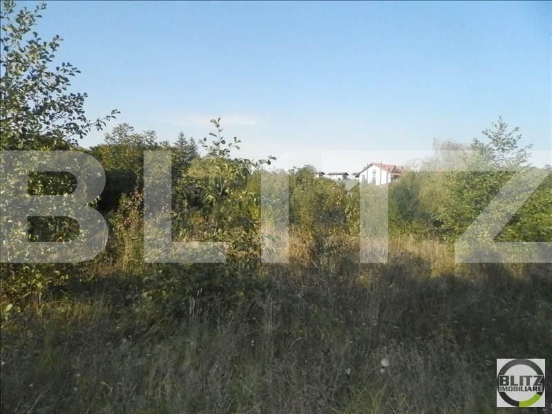 Teren de vânzare Făget - 23024TV | BLITZ Cluj-Napoca | Poza5