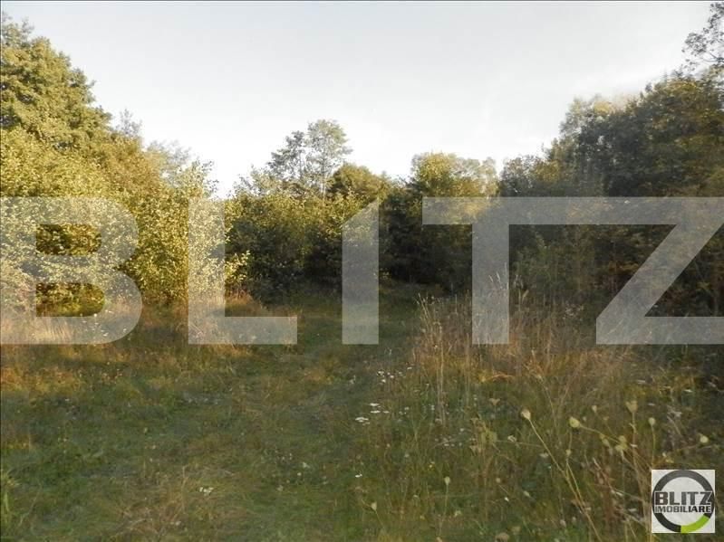 Teren de vânzare Făget - 23024TV | BLITZ Cluj-Napoca | Poza3