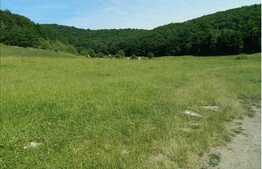 De vanzare teren de 3000 mp, in zona strazii Stejarului!