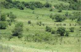 De vanzare teren de 757 mp, acces asfaltat, zona strazii Stejarului!