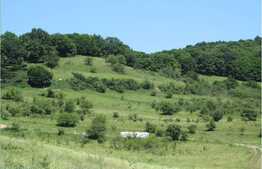 De vanzare teren de 757 mp, acces asfaltat, zona strazii Stejarului!