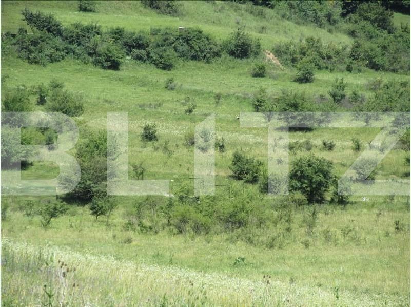 Teren de vânzare Floreşti - 23027TV | BLITZ Cluj-Napoca | Poza2