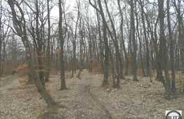 Teren 10000 mp, 2 fronturi stradale 190 ml!Ideal pentru 4 case sau parc turistic