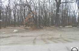 Teren 10000 mp, 2 fronturi stradale 190 ml!Ideal pentru 4 case sau parc turistic