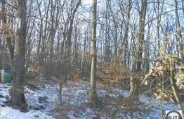 Teren 10000 mp, 2 fronturi stradale 190 ml!Ideal pentru 4 case sau parc turistic