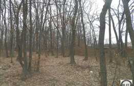 Teren 10000 mp, 2 fronturi stradale 190 ml!Ideal pentru 4 case sau parc turistic