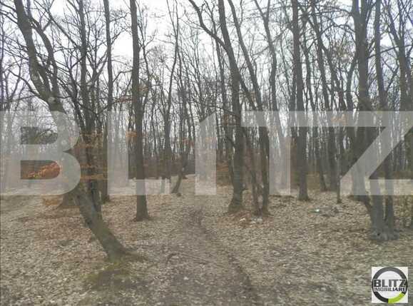 Teren de vânzare Făget - 23029TV | BLITZ Cluj-Napoca | Poza1