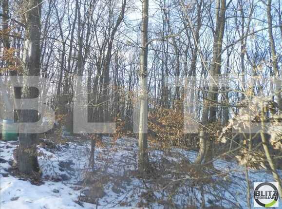 Teren de vânzare Făget - 23029TV | BLITZ Cluj-Napoca | Poza3