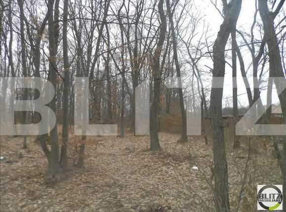 Teren de vânzare Făget - 23029TV | BLITZ Cluj-Napoca | Poza4