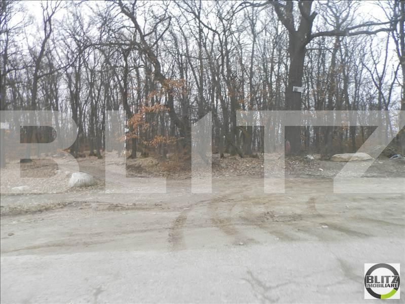 Teren de vânzare Făget - 23029TV | BLITZ Cluj-Napoca | Poza2