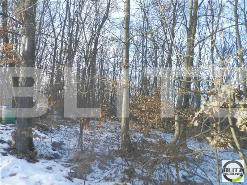 Teren de vânzare Făget - 23029TV | BLITZ Cluj-Napoca | Poza3
