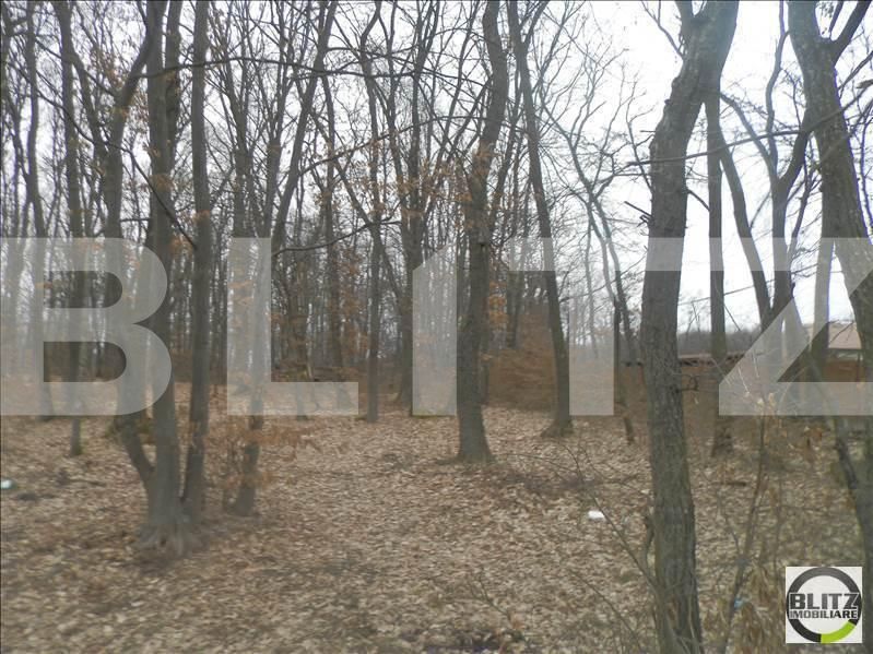 Teren de vânzare Făget - 23029TV | BLITZ Cluj-Napoca | Poza4