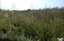 Vanzare teren 908 mp, 2 fronturi, zona linistita, nou dezvoltata!