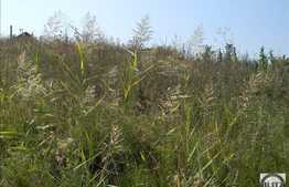 Vanzare teren 908 mp, 2 fronturi, zona linistita, nou dezvoltata!