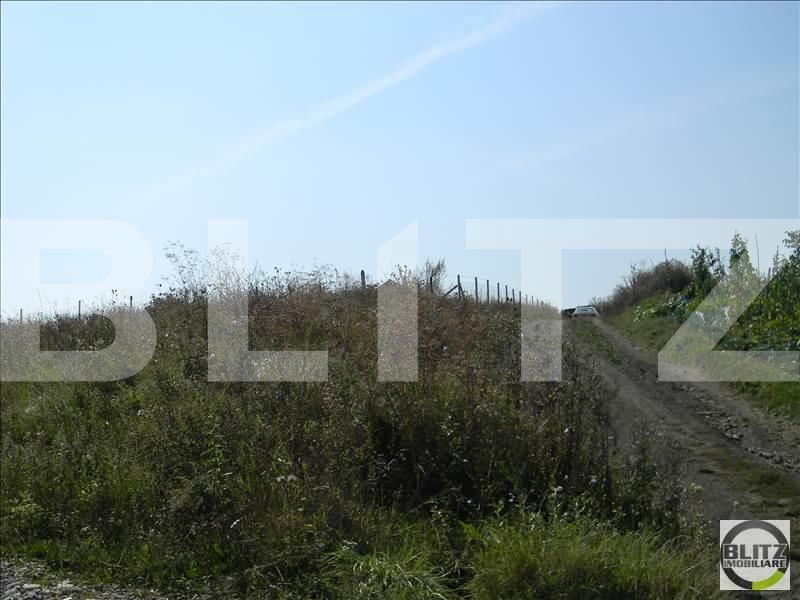 Teren de vânzare Borhanci - 23031TV | BLITZ Cluj-Napoca | Poza4