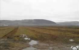 Teren la E60 cu front 115 m, 25000 mp, 2 min. pana la nodul de autostrada