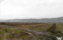 Teren la E60 cu front 115 m, 25000 mp, 2 min. pana la nodul de autostrada