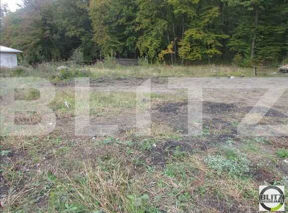 Teren de vânzare Făget - 23044TV | BLITZ Cluj-Napoca | Poza11