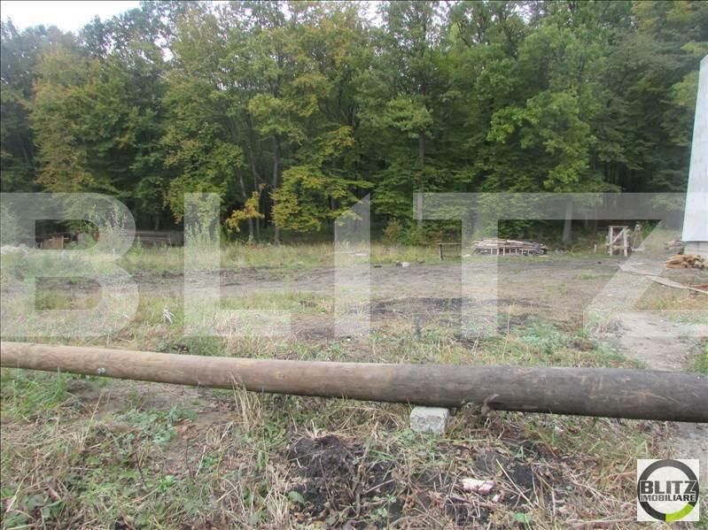 Teren de vânzare Făget - 23044TV | BLITZ Cluj-Napoca | Poza13