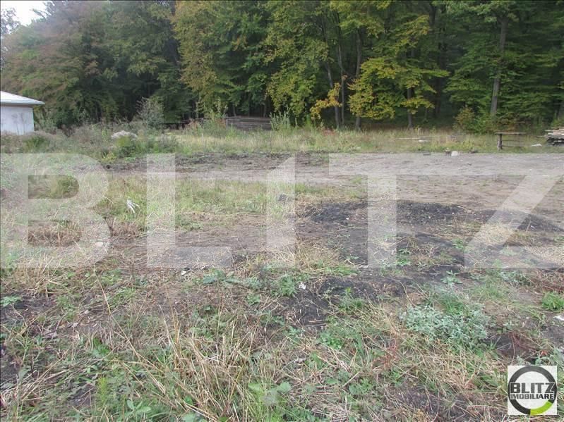 Teren de vânzare Făget - 23044TV | BLITZ Cluj-Napoca | Poza11