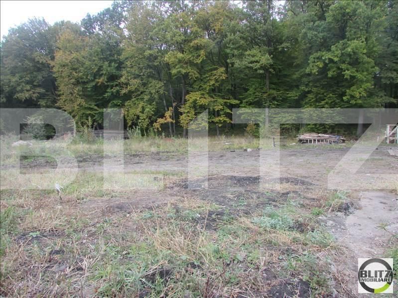Teren de vânzare Făget - 23044TV | BLITZ Cluj-Napoca | Poza12