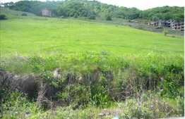 De vanzare teren de 2600 mp, front de 30 ml, zona strazii Teilor!