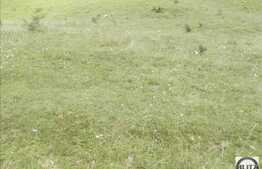 De vanzare teren intravilan de 548 mp! Zona de case! Priveliste frumoasa!