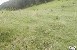 De vanzare teren intravilan de 548 mp! Zona de case! Priveliste frumoasa!