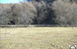 Teren in zona Tauti, 1000 mp cu front de 18.30 ml. Toate utilitatile