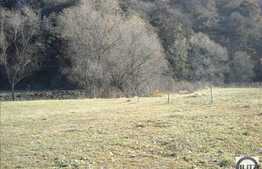 Teren in zona Tauti, 1000 mp cu front de 18.30 ml. Toate utilitatile