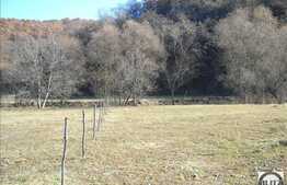 Teren in zona Tauti, 1000 mp cu front de 18.30 ml. Toate utilitatile