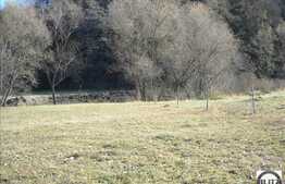 500 mp, teren  in zona Tauti.  Front de 18.30 ml. Toate utilitatile!