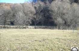 500 mp, teren  in zona Tauti.  Front de 18.30 ml. Toate utilitatile!