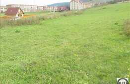 Teren de vanzare cu 650 mp, front 25 ml, zona Teilor!