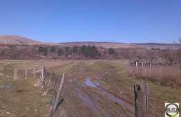 Teren pentru constructie blocuri! 2880 mp! Zona Tineretului!