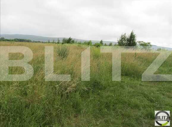 Teren de vânzare Gheorgheni - 23095TV | BLITZ Cluj-Napoca | Poza2