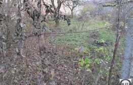 Teren de vanzare 831 mp, front stradal 28, zona nou dezvoltata!